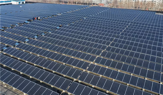 Poolux 新ワンセットデザイン 18